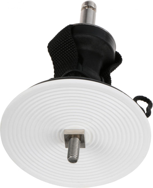 Set da 4 dadi per piede albero